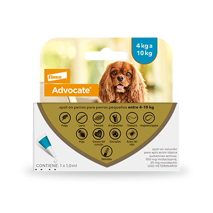 Spot on perros para perros pequeños entre 4-10 kg