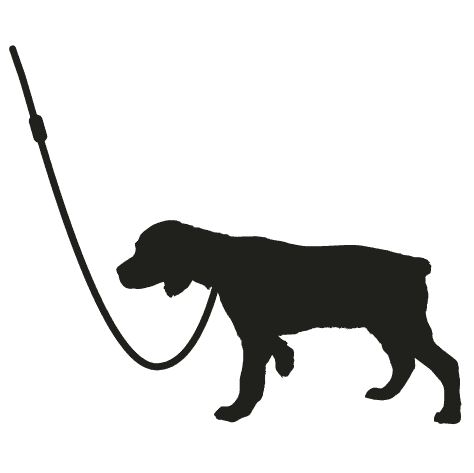 Icon of dog walking on lead