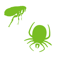 Flea and tick icons