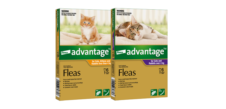 Advantage™ packaging available for cats in their specific weight range.