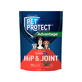 Pet Protect™ Probiotic Balance+ Oral Gel With Vet-Formulated Endurosyn