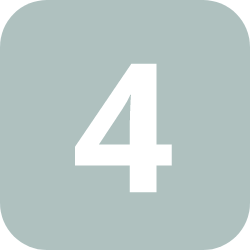Icon 4