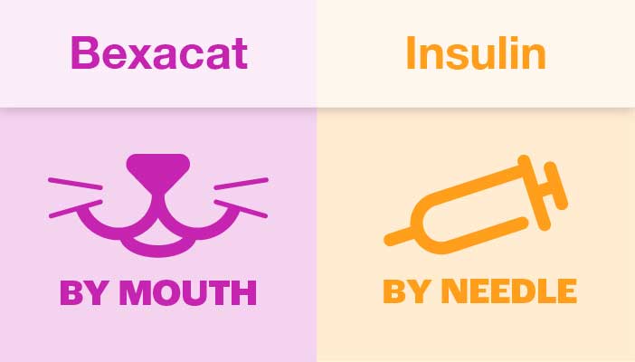 Bexacat by mouth and insulin by needle comparison