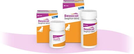 Bexacat product packaging