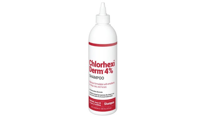 Chlorhexidine shop 4 shampoo