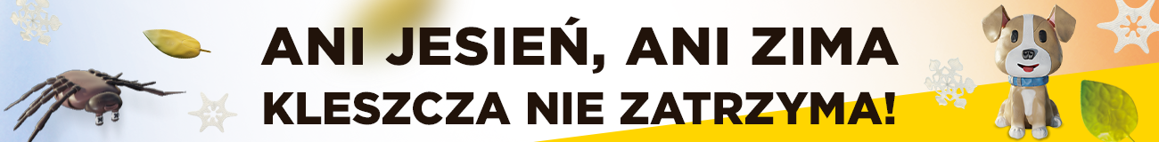 Kleszcze aktywne również jesienią i zimą