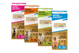 Advocate Ultra Chew | Elanco Australia