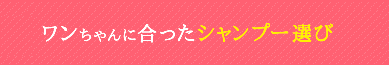 正しいシャンプー_ワンちゃんにあったシャンプー選び