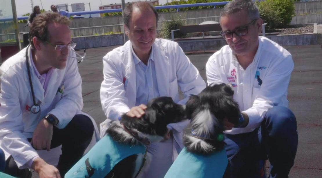 Biodogtor