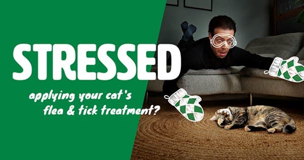 Flea and tick control for cats with one tasty tablet