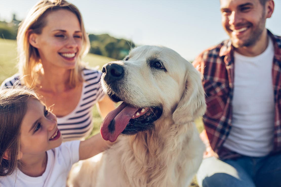 Família feliz com cachorro