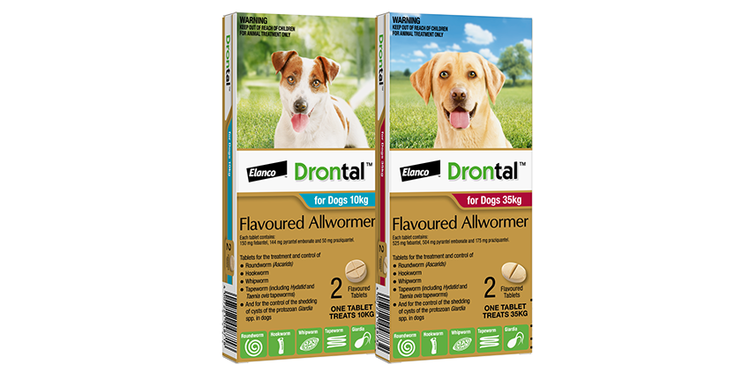 Drontal™ Flavoured Allwormer for your dog is available in their specific weight range.