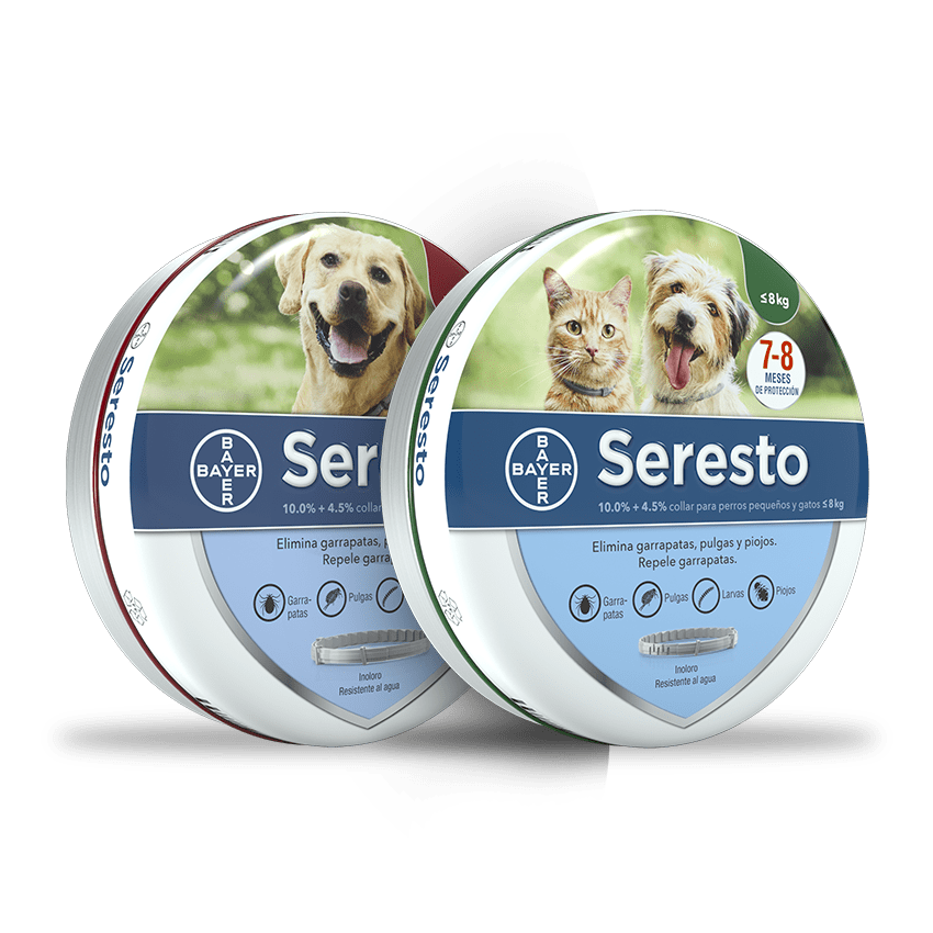 cinta Restringido novedad Collar antipulgas y antigarrapatas para perros y gatos Seresto® | Página  oficial de Bayer