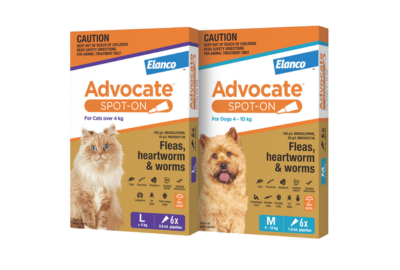 Advocate Spot On for Cats and Dogs | Elanco Australia