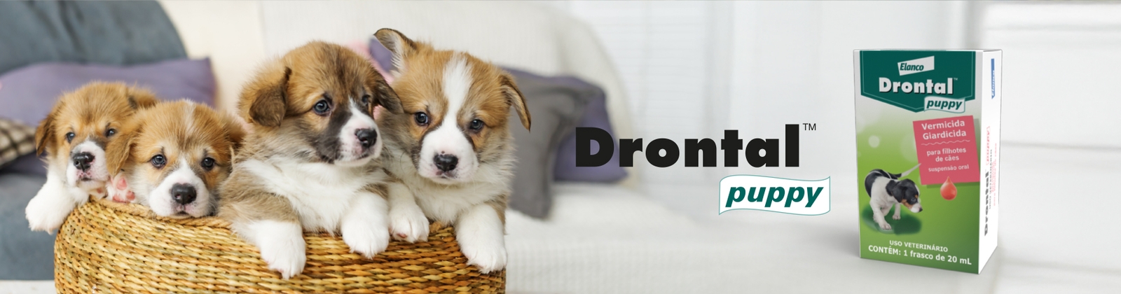 Drontal Puppy Banner