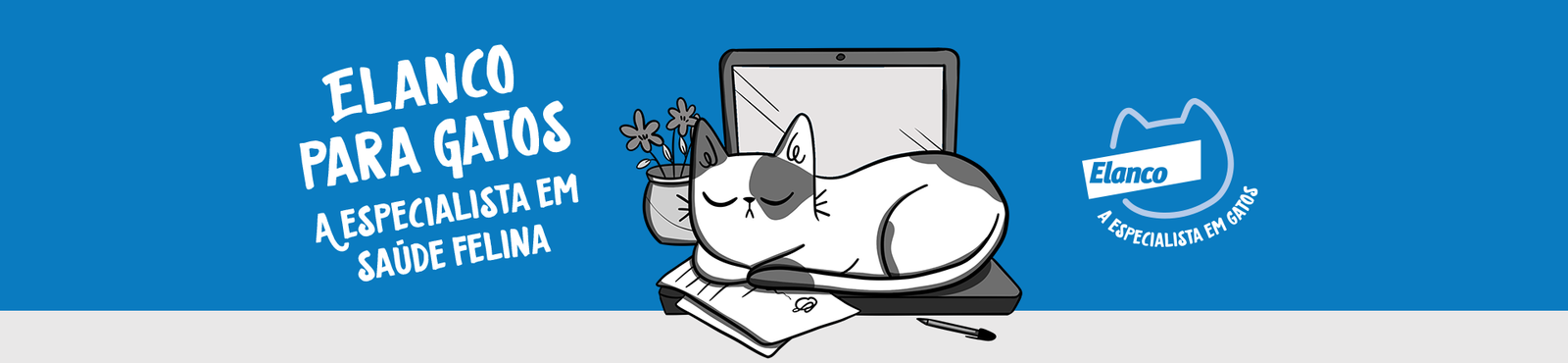 Elanco para gatos a especialista em saúde felina