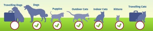 Animals at risk of roundworms