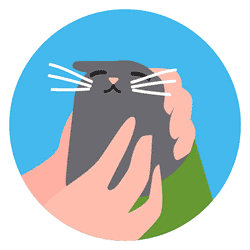 ステップ3:猫の頭と喉をなでます。