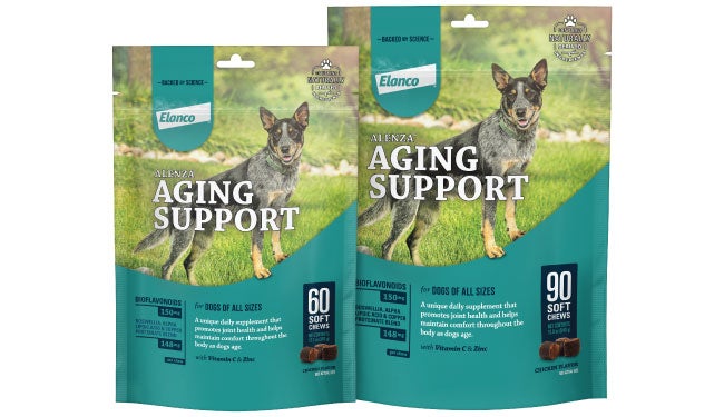 Alenza Aging Support for Dogs package with soft chews thumbnail