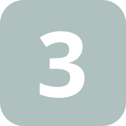 Icon 3