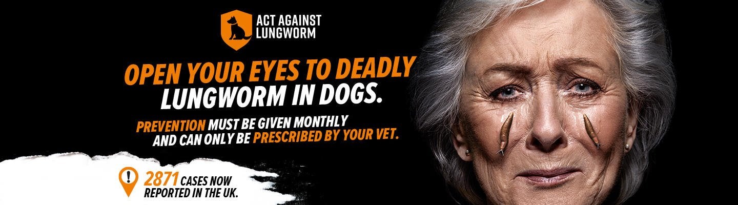 Open your eyes to deadly lungworm in dogs.