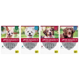 K9 Advantix II for Dogs topic flea treatment