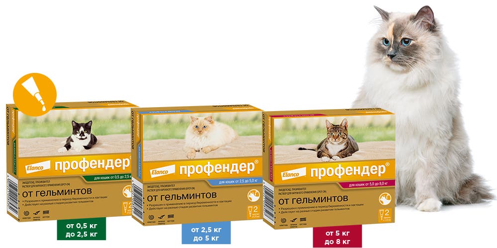 Профендер® – капли на холку от гельминтов для кошек | Elanco