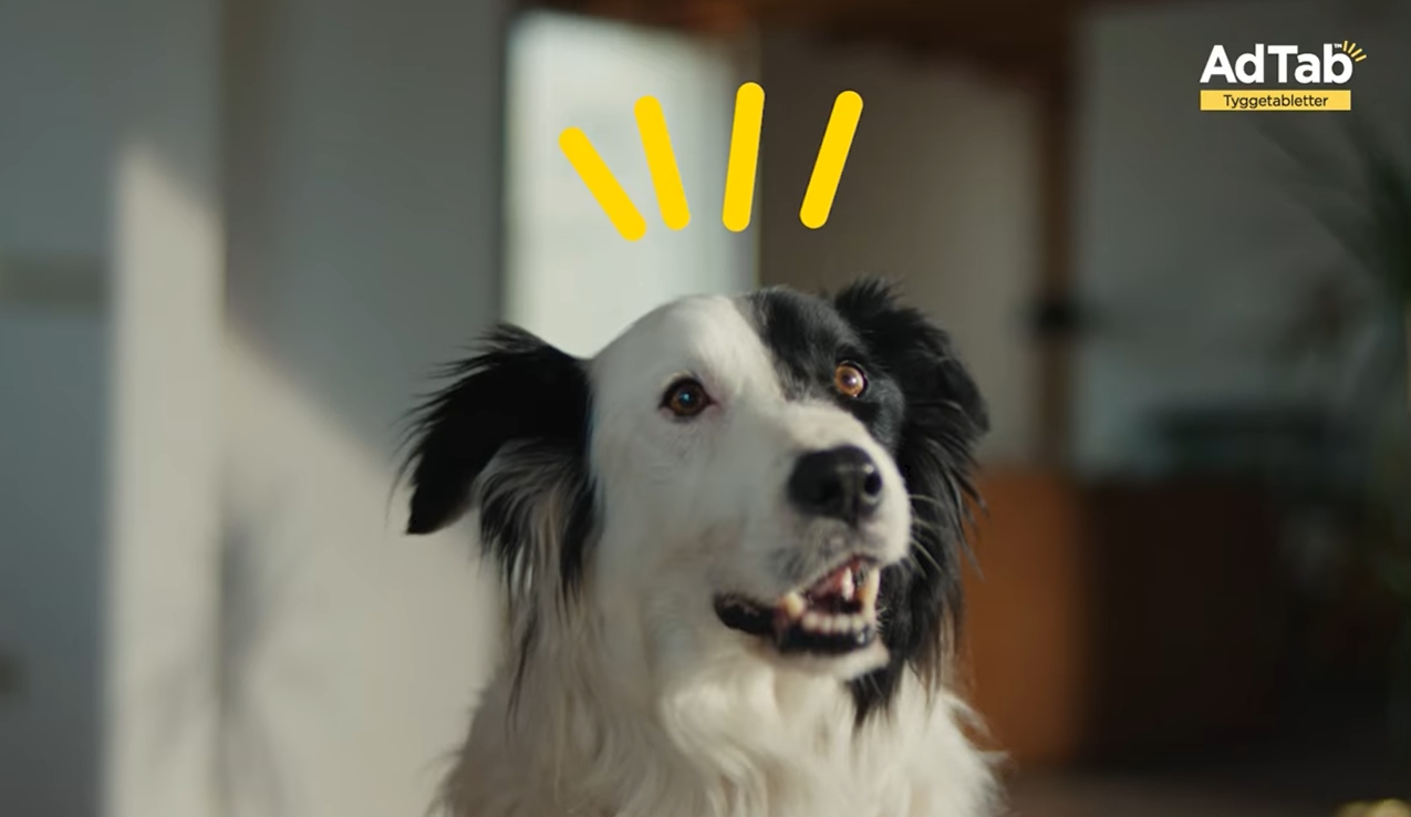 AdTab tyggetabletter til hund mod lopper og flåter