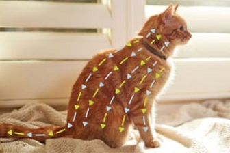Visual showing how a Seresto™ flea and tick collar works through the controlled release technology, and how the active ingredients spreads across a cat’s skin and hair.