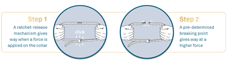 Representation of Seresto safety mechanism