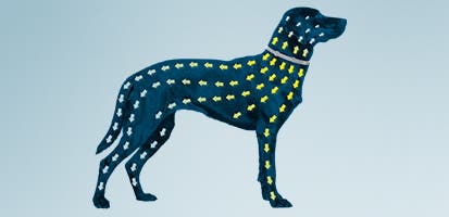 Silhouettes of a dog and colorful lines of dashes connecting head to tail 
