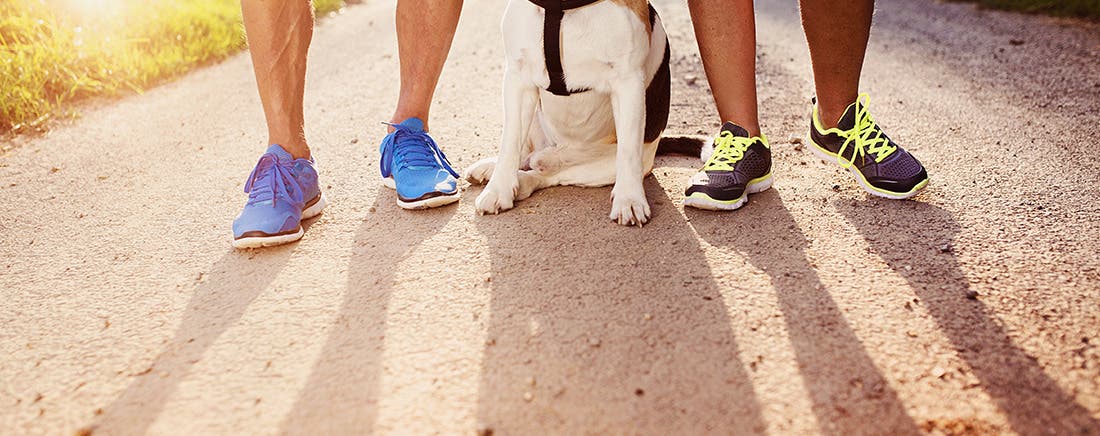 Two runners’ feet with running shoes on posing with dog in the middle