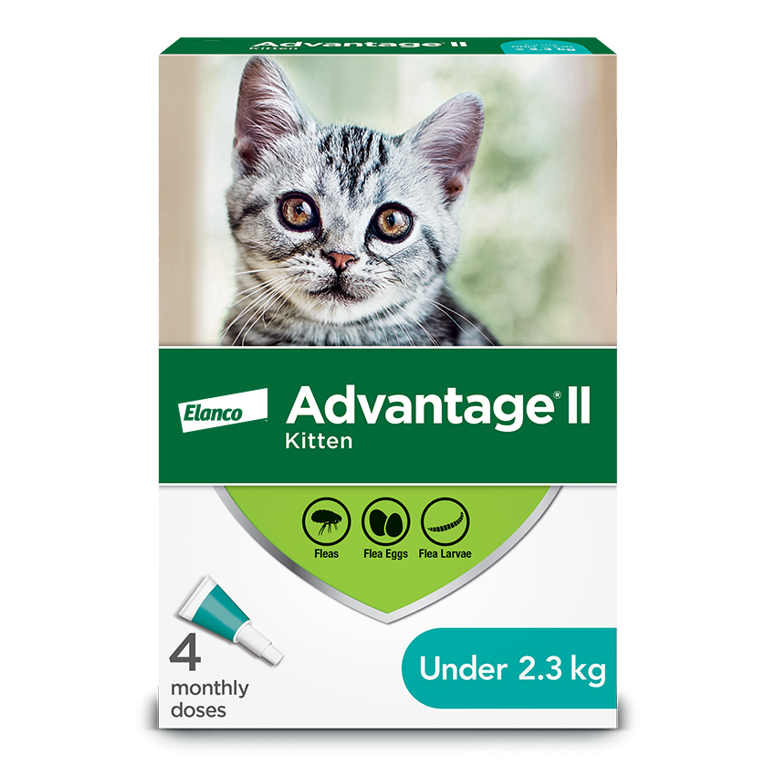 Advantage®II Flea Protection for Kittens - 4 pack