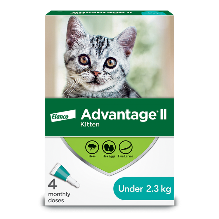 Advantage®II Flea Protection for Kittens - 4 pack