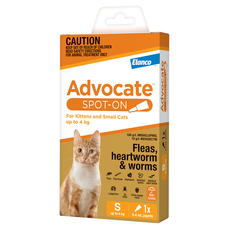 Advocate Spot-On for Cats | Elanco Australia