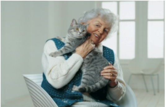 Una signora anziana coccola un gatto anziano