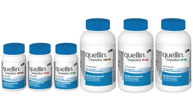 quellin® bottles with soft chew products
