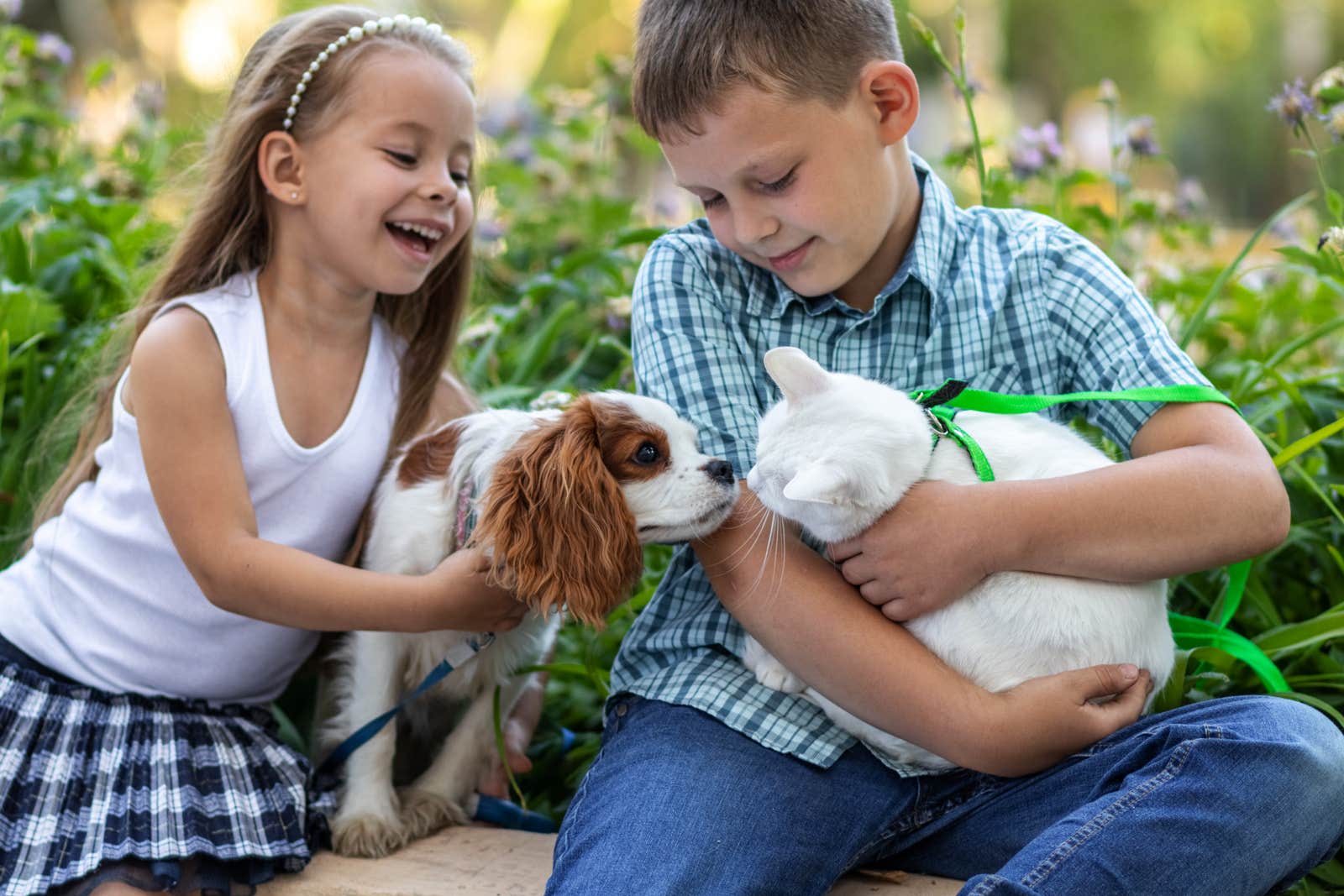 Children playing with a cat and dog outdoors