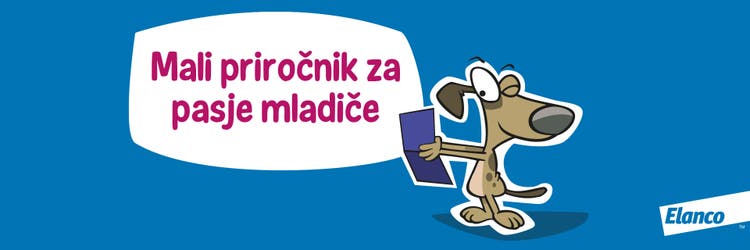 Slika priročnika za pasje mladiče