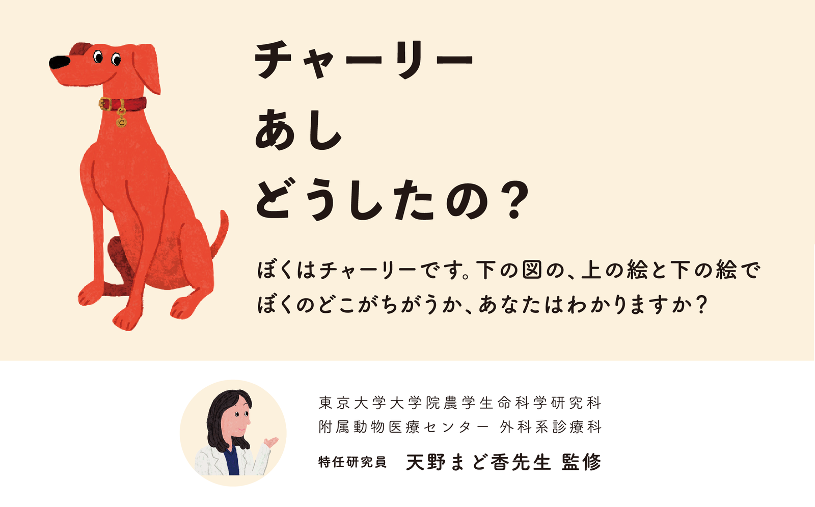 チャーリーあしどうしたの？ 上の絵と下の絵の違いわかりますか？