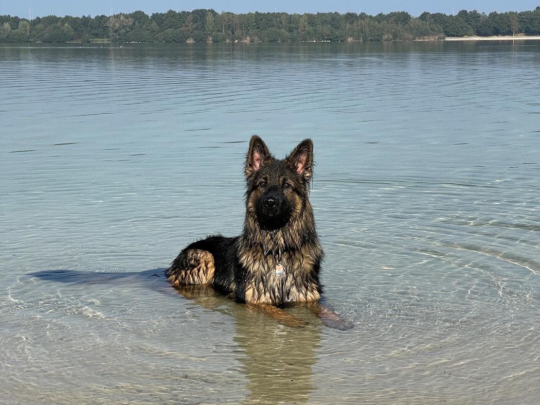 otto_vakantie_2