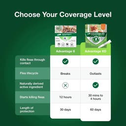 Choose your flea coverage level for your cat. Advantage II vs Advantage XD