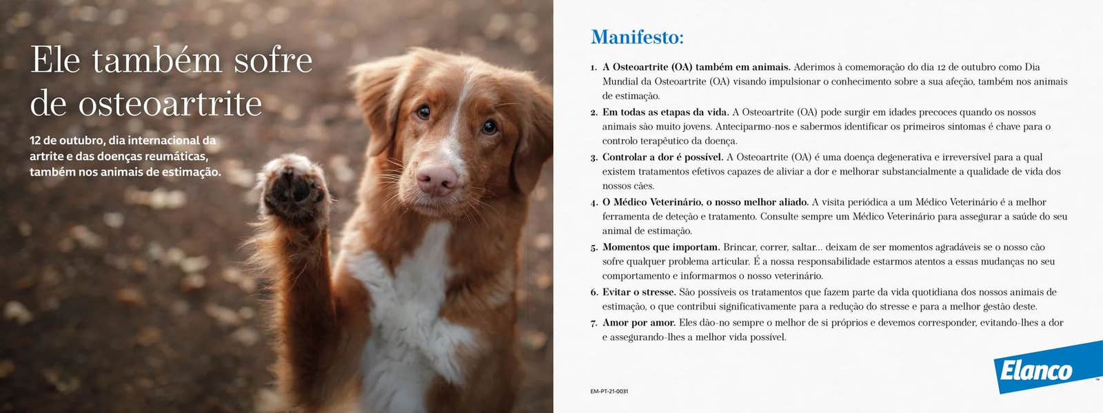 Banner Manifesto 