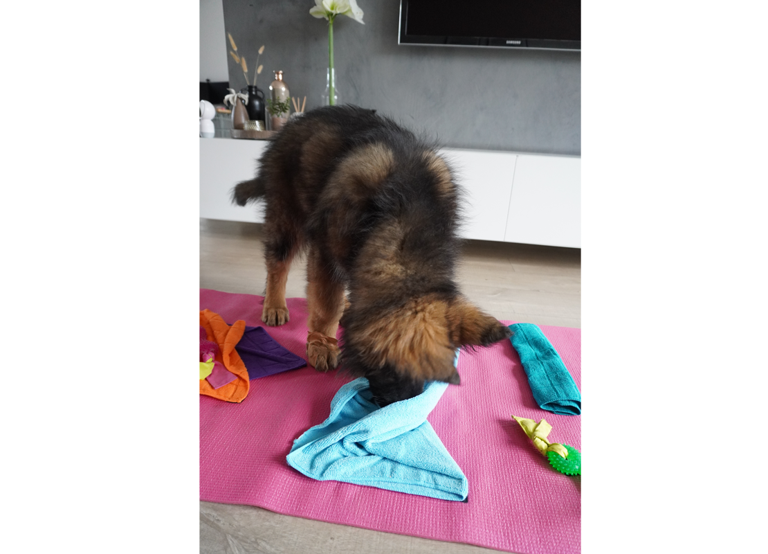 pup otto hersenwerkjes