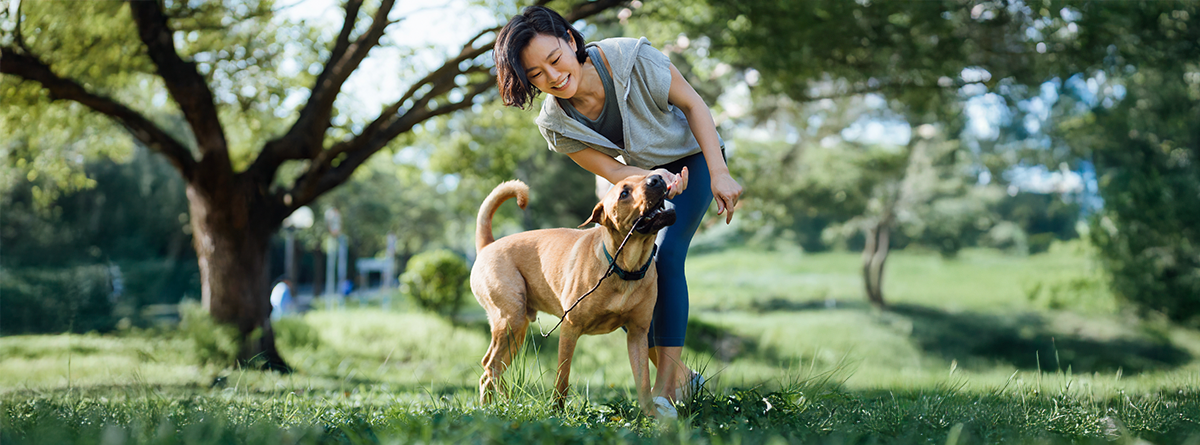 Tutor brincando com cachorro protegido contra pulgas e carrapatos