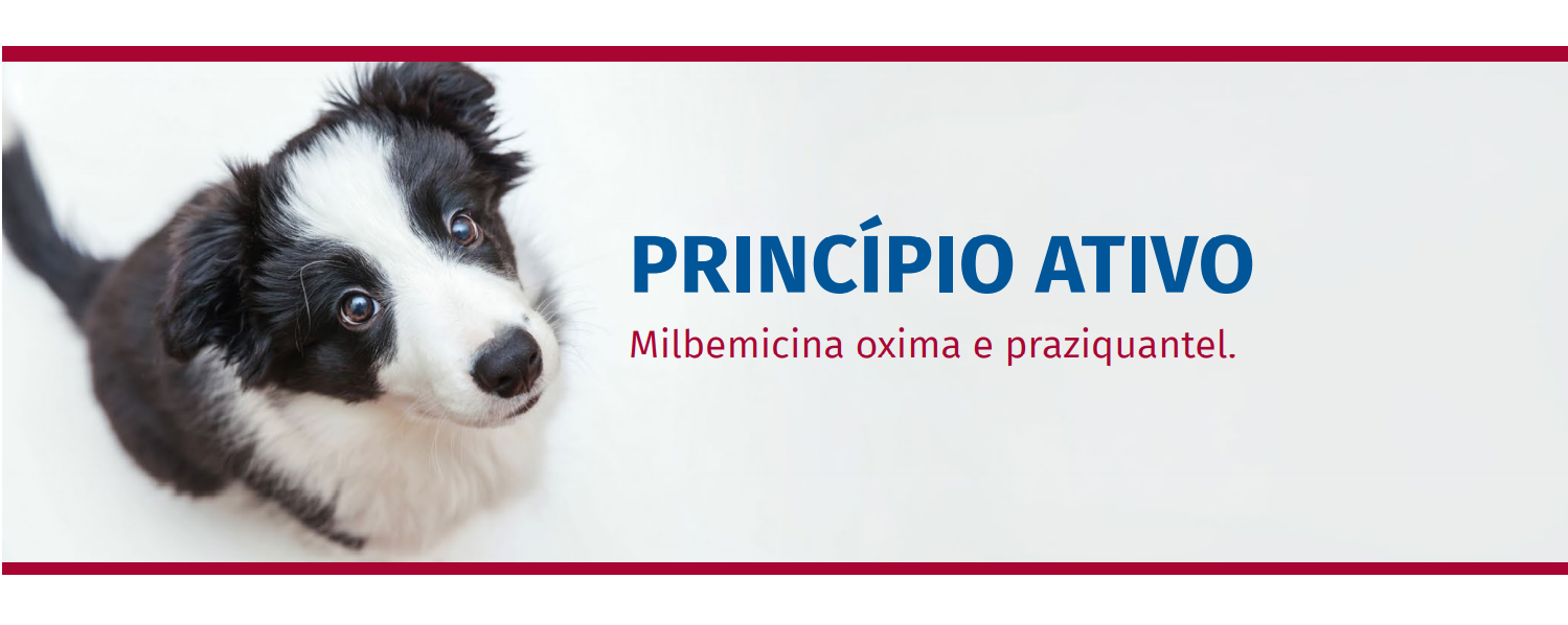 Princípio Ativo