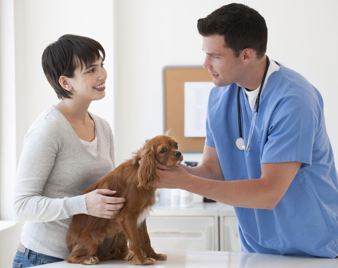 Padrona e il suo cane dal veterinario