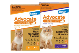 Advocate Spot On for Cats | Elanco Australia