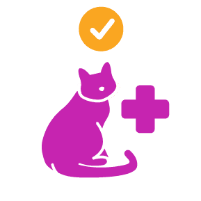 Cat in good health icon