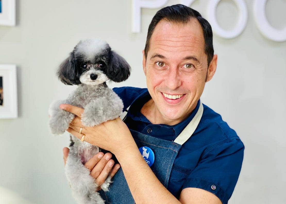 Cuidados del caniche